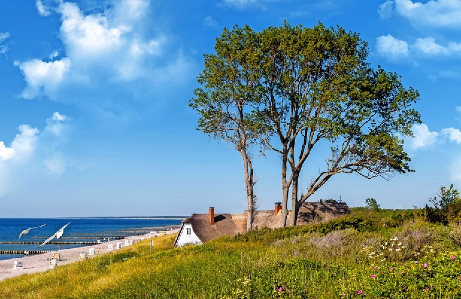 Best HD Pictures about  Inseln In Der Ostsee  with No AI Images